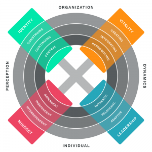 Das Agility Management Modell